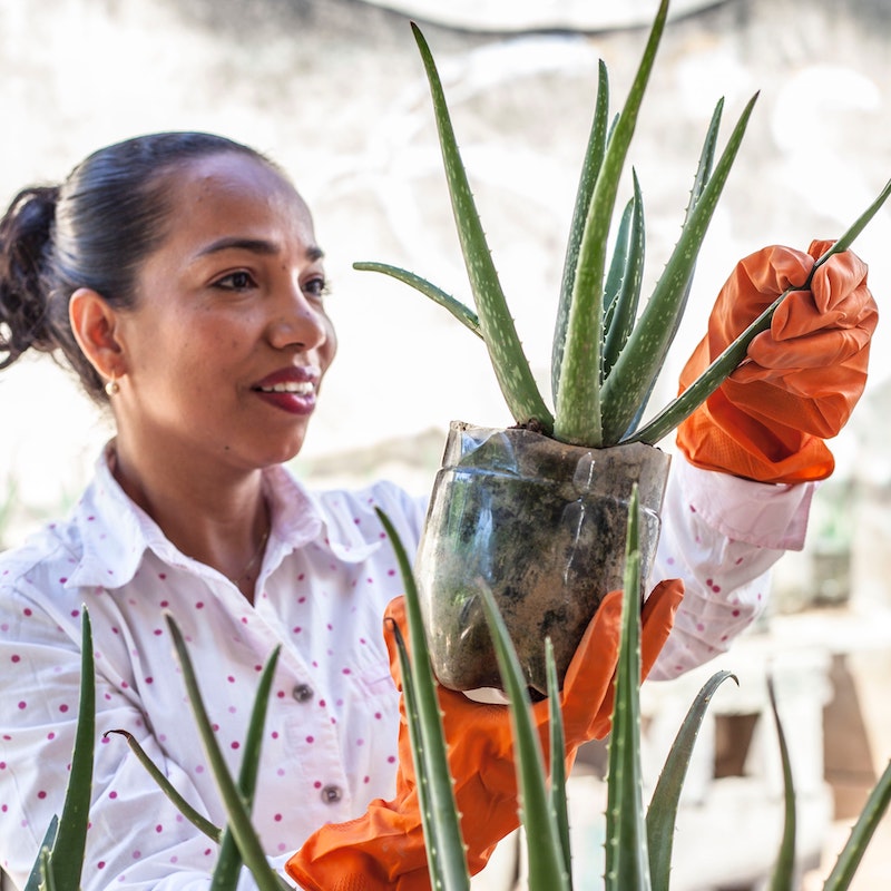 woman holding an aloe plant
